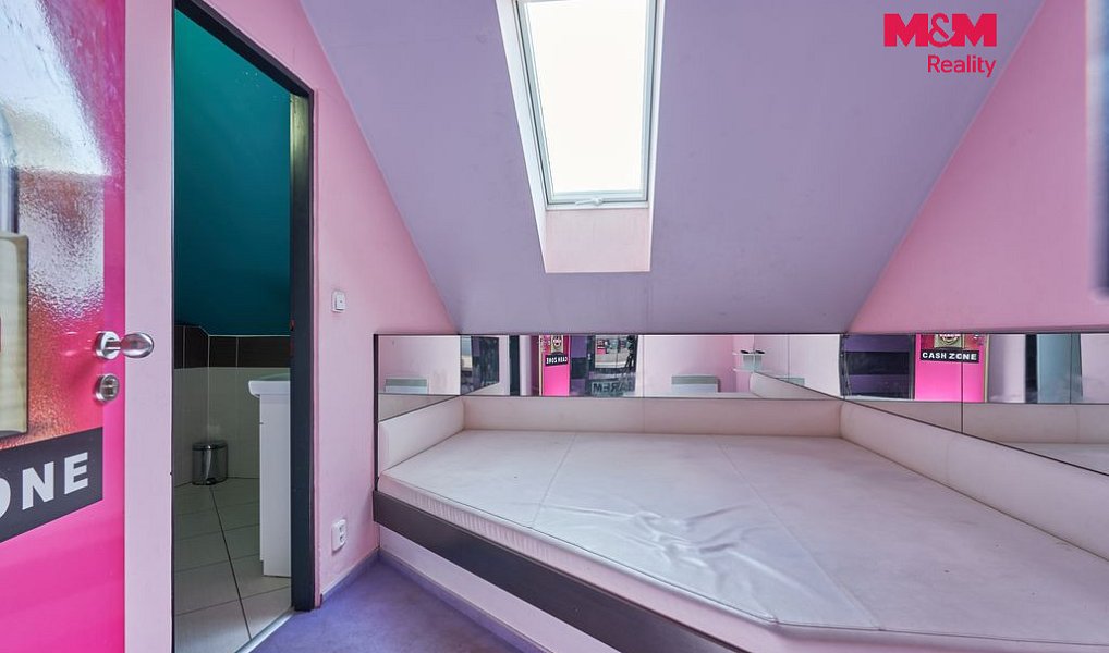 Pronájem obchodních prostor 365 m², Drslavice – náhled fotky 16