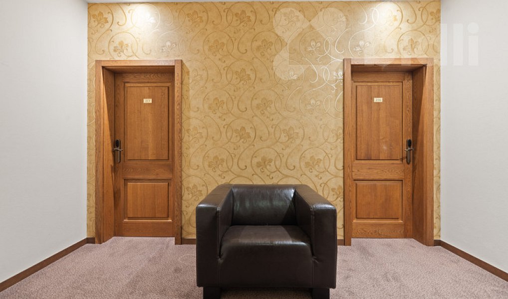 Prodej ubytovacího objektu 1 300 m², Lednice – náhled fotky 7