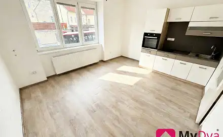 Pronájem bytu 1+1 25 m², Rooseveltova, Znojmo