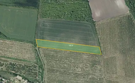Prodej pole 7 043 m², Želkovice, okres Louny