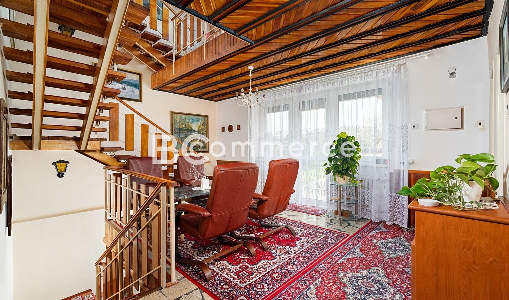 Prodej domu 270 m² s pozemkem 4 446 m², Dolní Kounice – náhled fotky 22