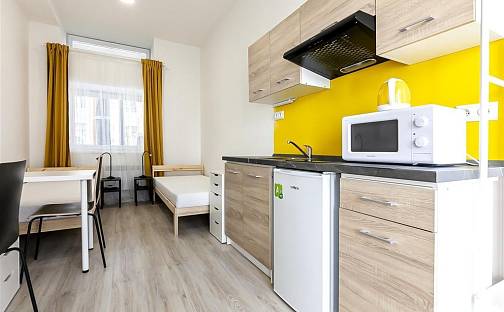 Pronájem bytu 1+kk 20 m², Václavská, Brno - Staré Brno