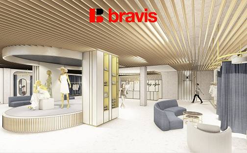 Pronájem obchodních prostor 237 m², Řípská, Brno - Slatina