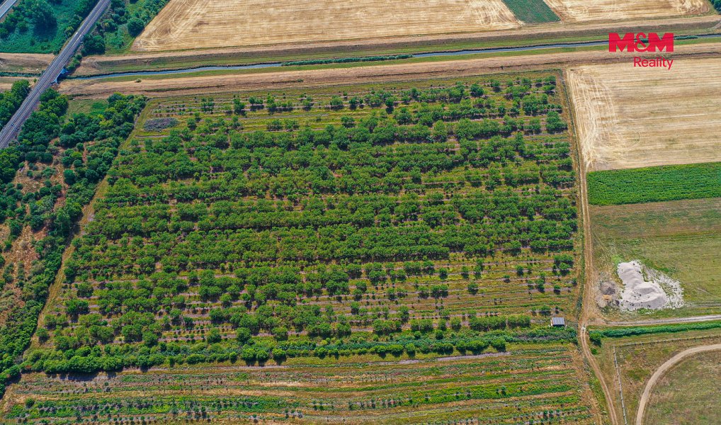 Prodej pole 12 442 m², Rakvice – náhled fotky 2