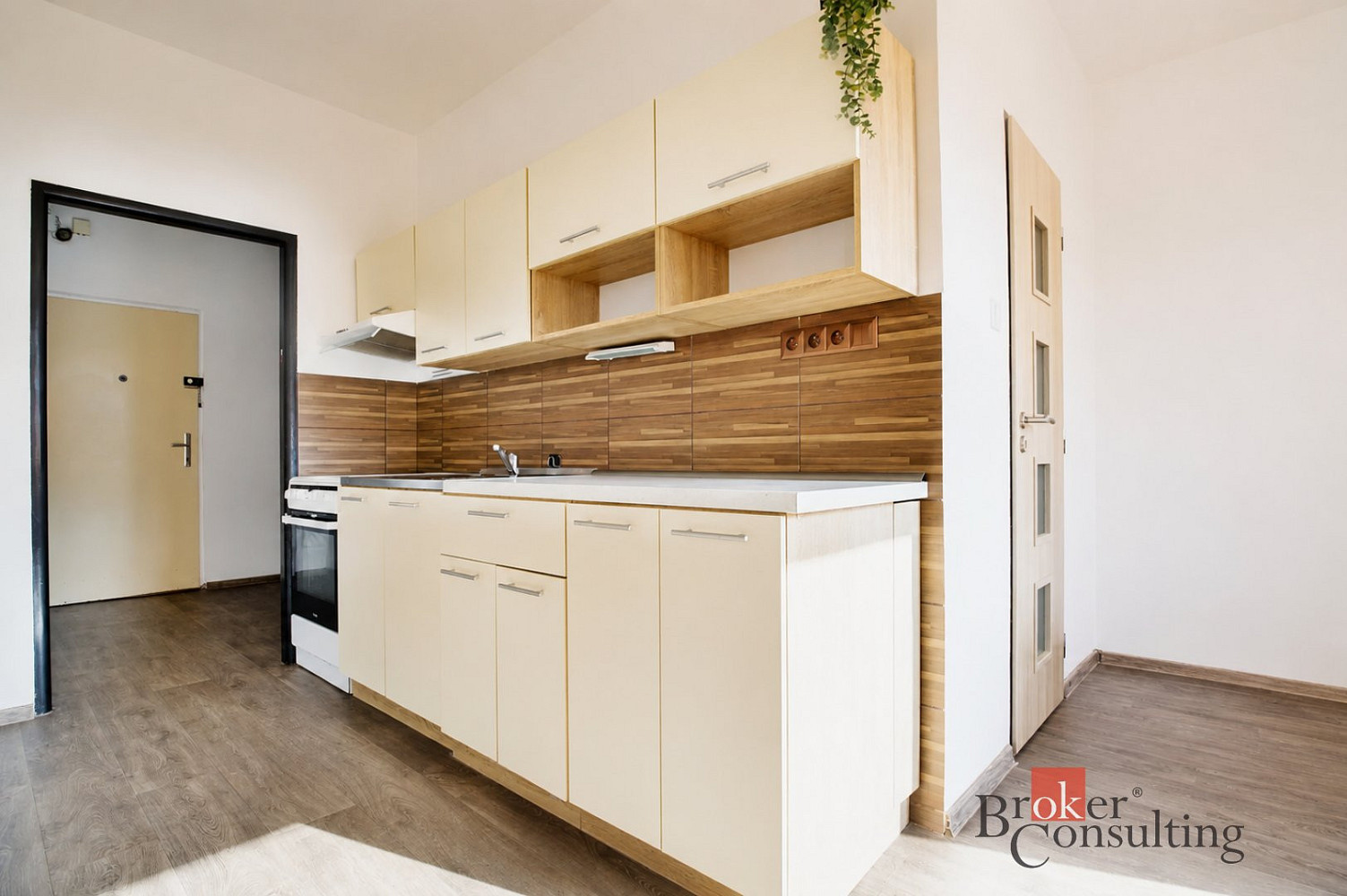 Pronájem bytu 2+1 59 m²