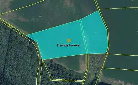 Prodej pole 3 784 m², Chotěšice - Břístev, okres Nymburk