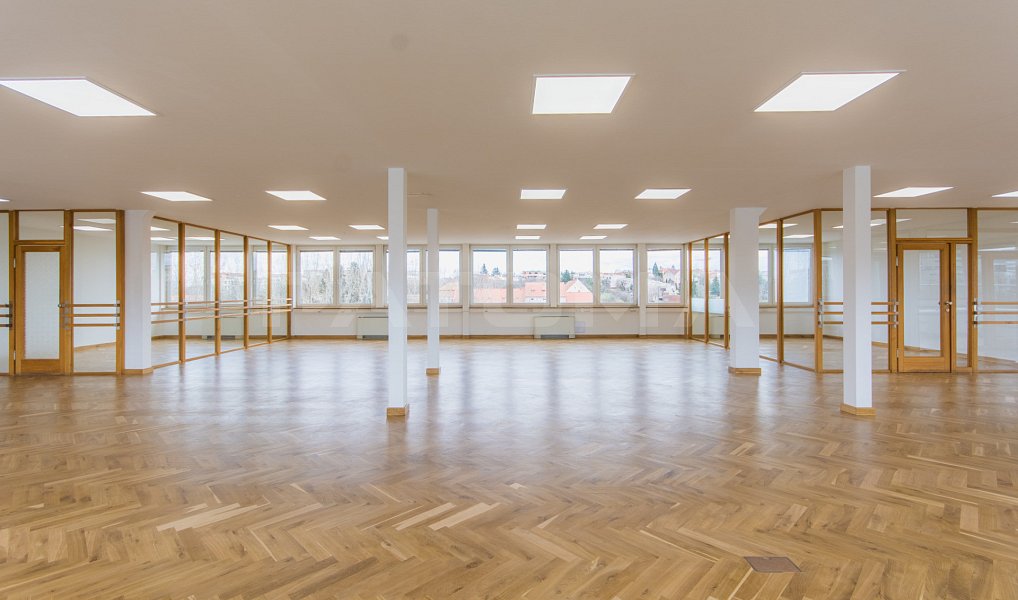 Pronájem kanceláře 257 m², Praha – náhled fotky 12