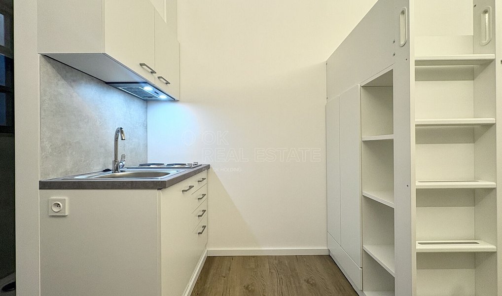 Pronájem bytu 1+kk 11 m², Praha – náhled fotky 3