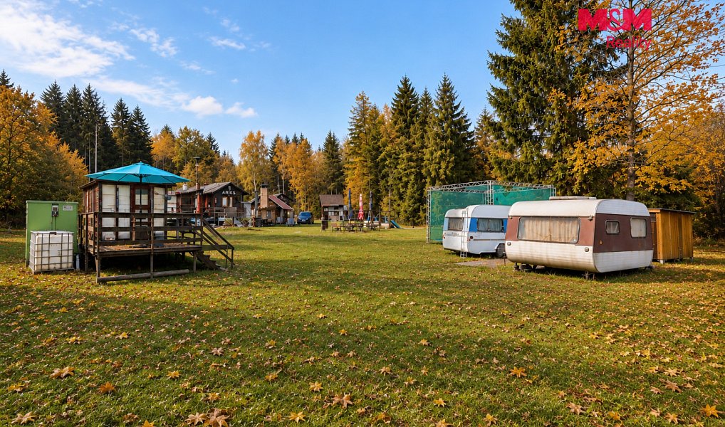 Prodej komerčního pozemku 21 872 m², Krucemburk – náhled fotky 2