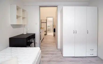 Pronájem bytu 2+1 30 m², Hybešova, Brno - Staré Brno