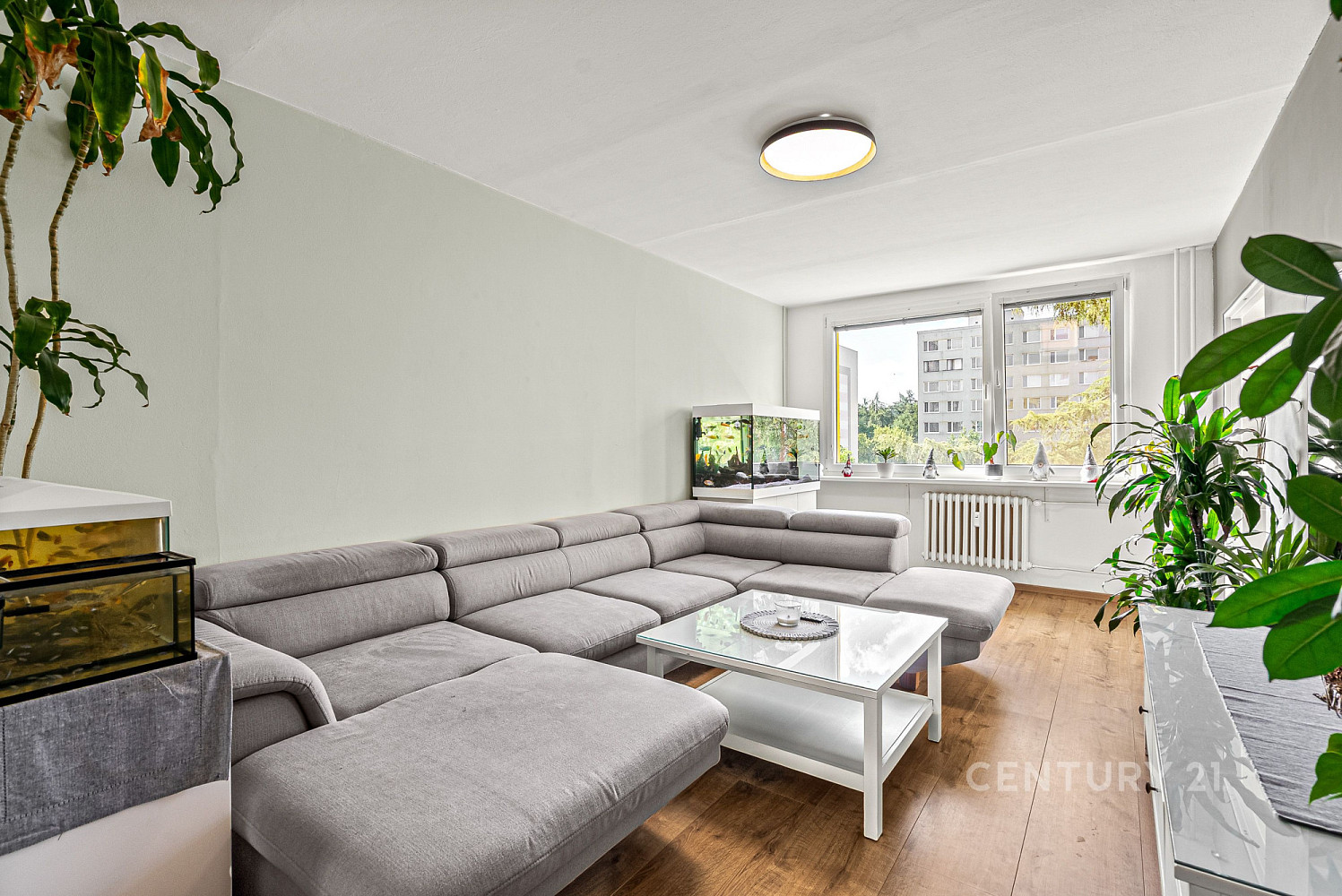 Prodej bytu 3+1 72 m² – fotografie 4