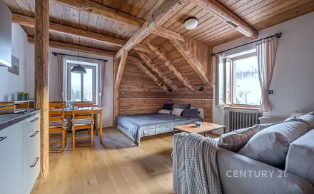 Pronájem bytu 1+kk 26 m²