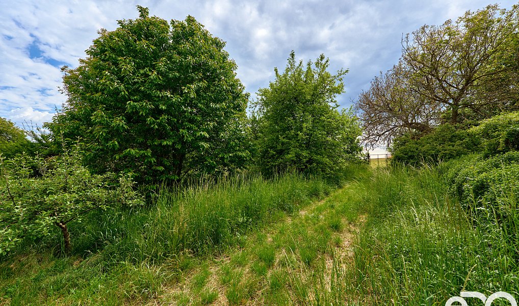 Prodej domu 320 m² s pozemkem 1 765 m², Chudčice – náhled fotky 23