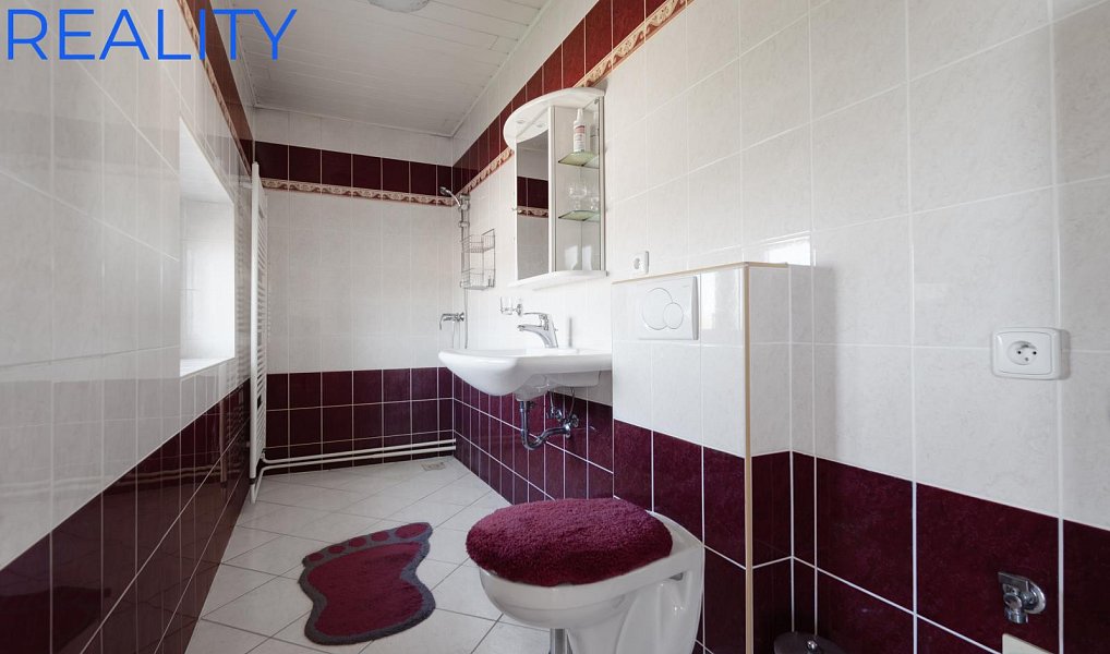 Prodej domu 250 m² s pozemkem 666 m², Hať – náhled fotky 10