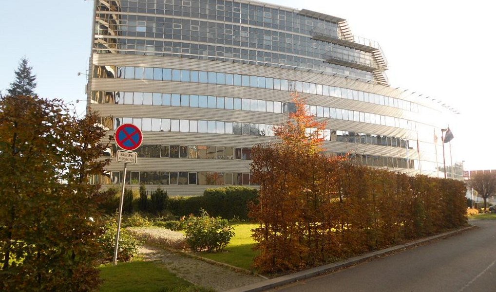 Pronájem kanceláře 300 m², Praha – náhled fotky 8