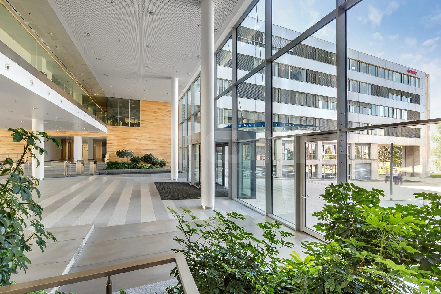 Pronájem kanceláře 554 m² – fotografie 5