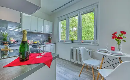 Pronájem bytu 2+1 52 m², Blatenská, Chomutov