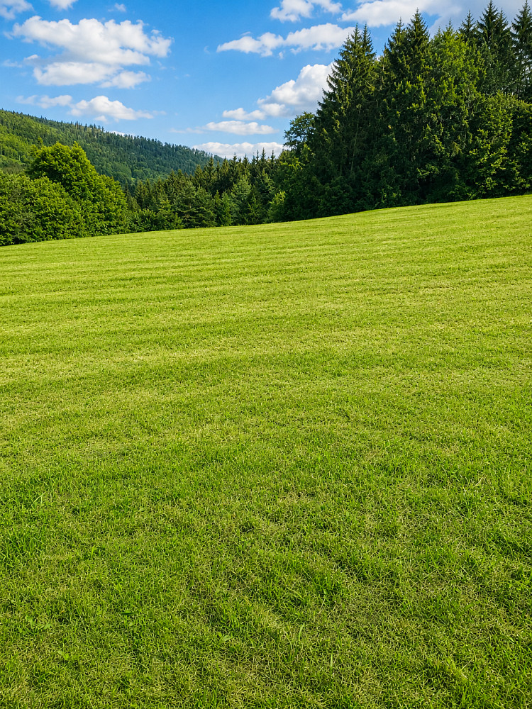 Prodej stavebního pozemku 1 521 m² – fotografie 2