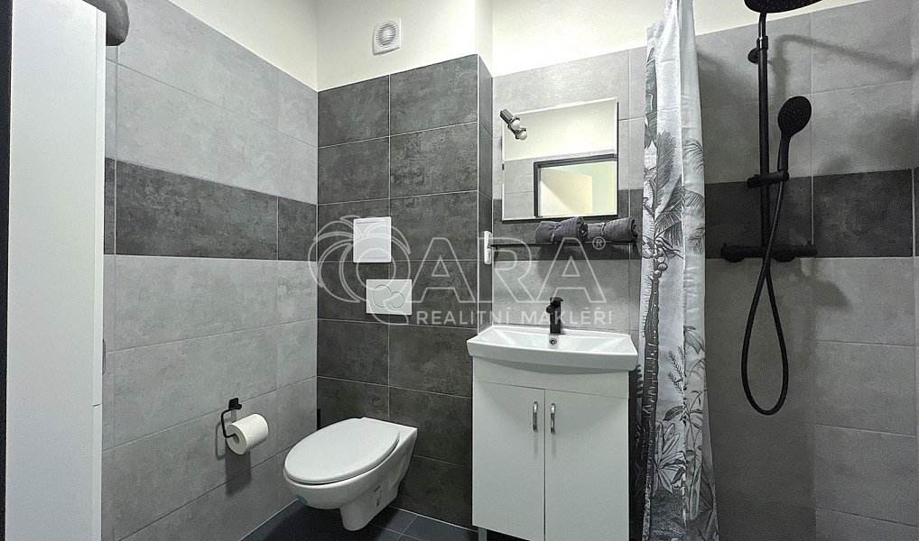 Prodej bytu 1+1 32 m², Město Albrechtice – náhled fotky 4