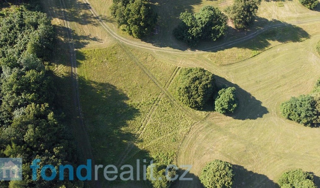 Prodej pozemku 3 636 m², Tvarožná Lhota – náhled fotky 4