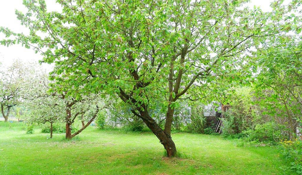 Prodej chaty/chalupy 136 m² s pozemkem 535 m² – pohled 5