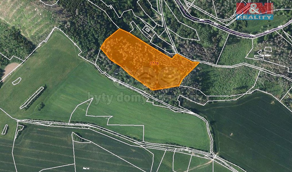 Prodej lesa 21 827 m², Brtnice – náhled fotky 4