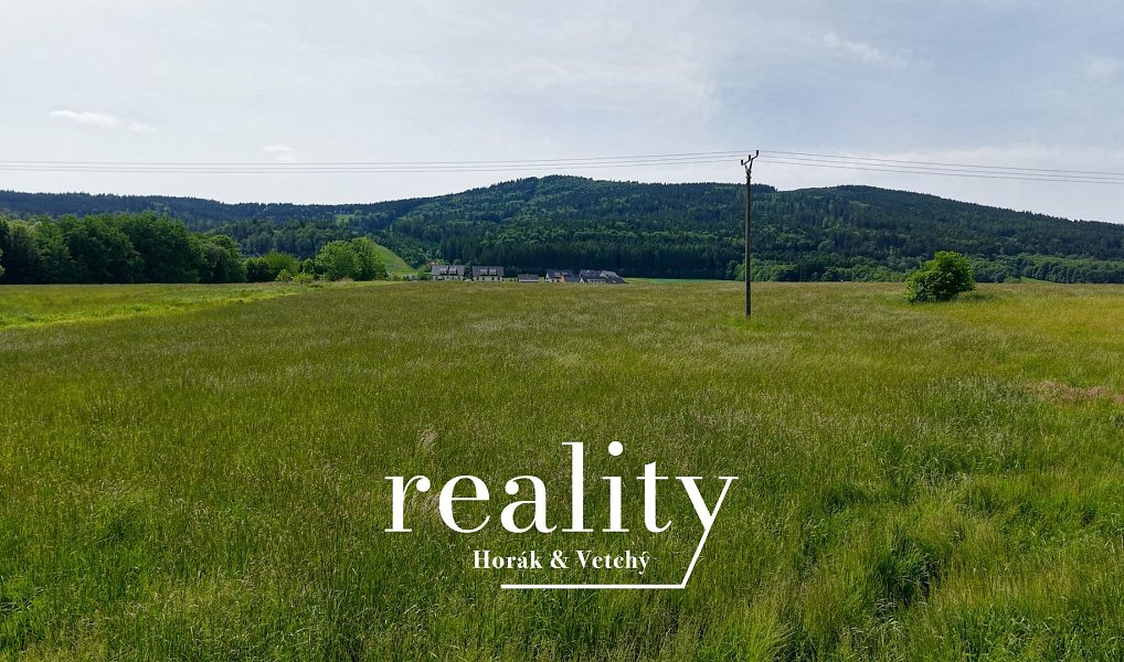 Prodej stavebního pozemku 3 948 m², Červená Voda – náhled fotky 25