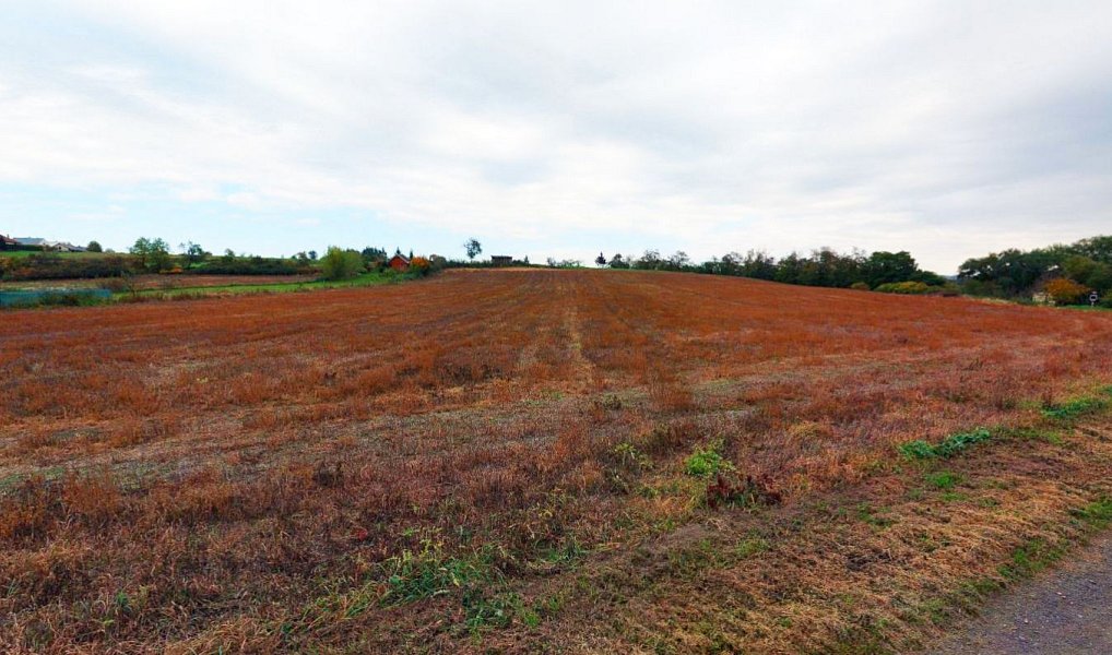 Prodej stavebního pozemku 5 369 m², Zruč nad Sázavou – náhled fotky 3