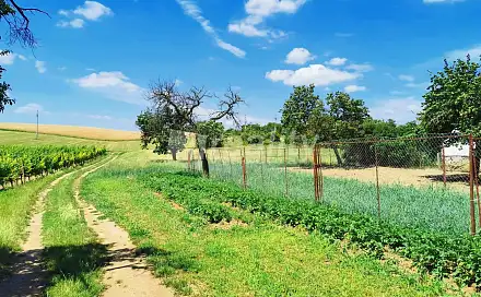 Prodej stavebního pozemku 934 m², Miroslav, okres Znojmo