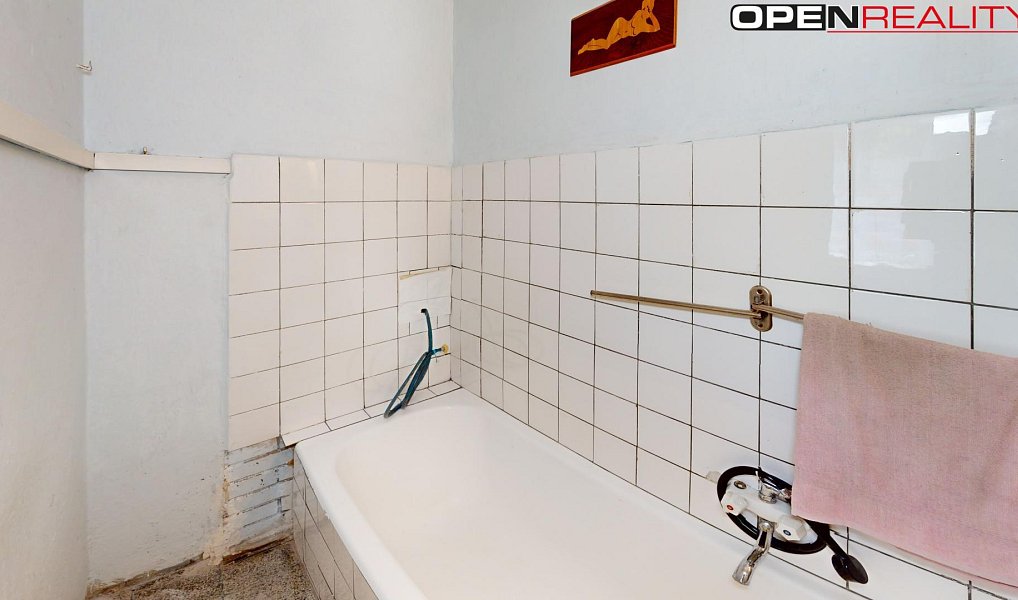 Prodej domu 54 m² s pozemkem 166 m², Křenovice – náhled fotky 11