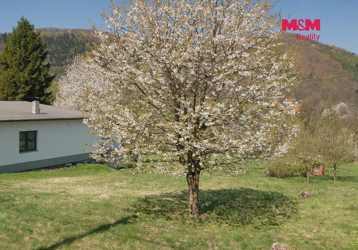 Prodej stavebního pozemku 993 m² – fotografie 4