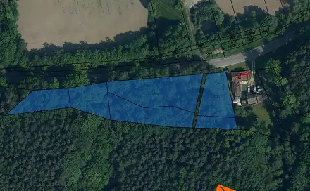 Prodej lesa 749 m², Modřišice, okres Semily