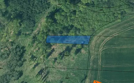 Prodej lesa 296 m², Břasy, okres Rokycany