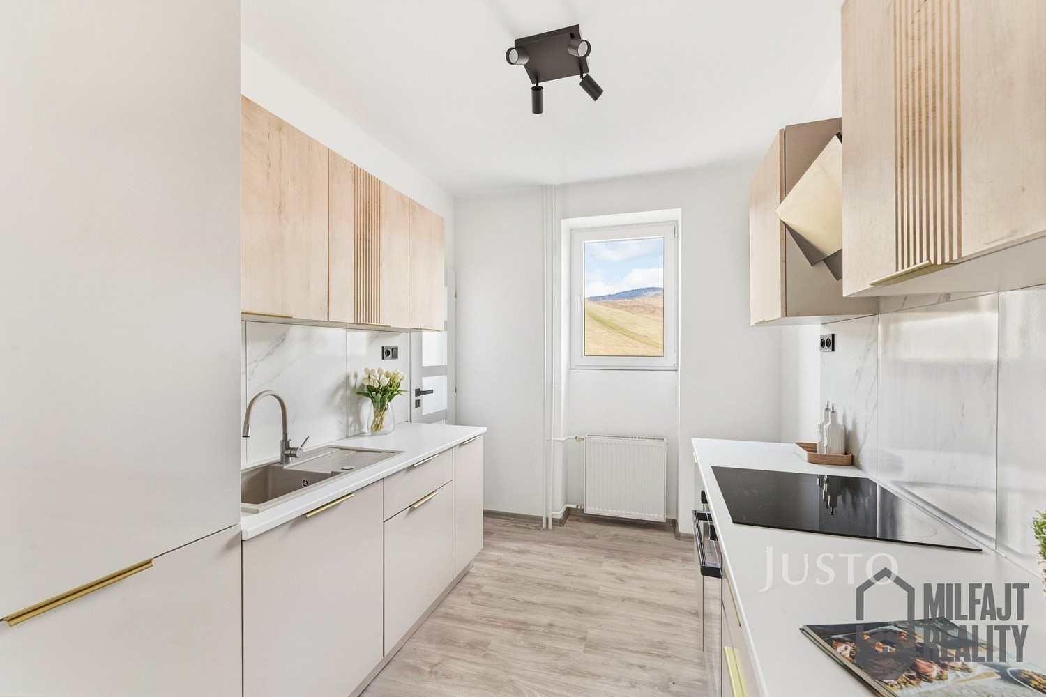 Fotka 5 z 16