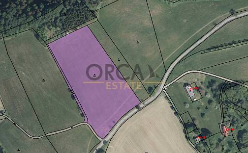 Prodej pozemku 18 135 m², Liberk, okres Rychnov nad Kněžnou