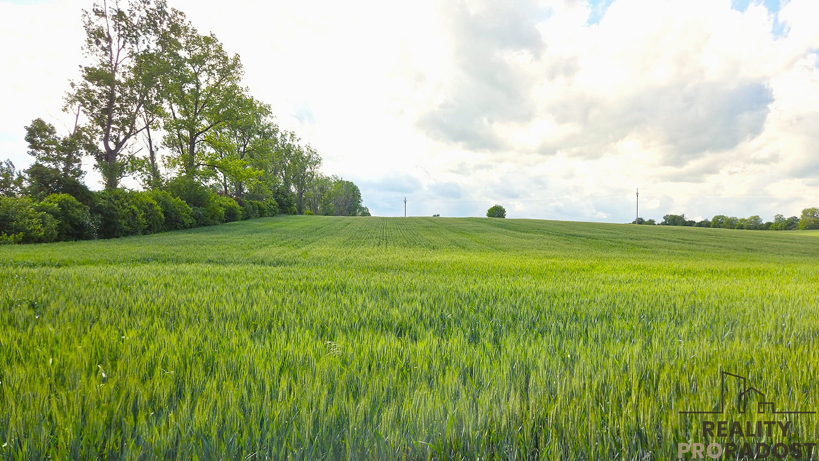 Prodej pole 2 649 m² – fotografie 2