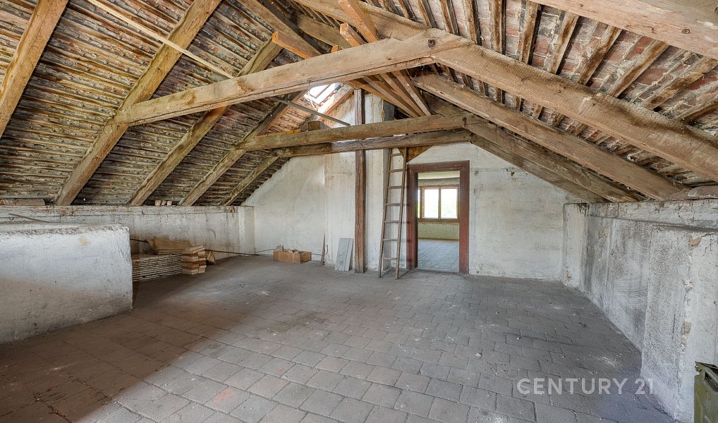 Prodej domu 341 m² s pozemkem 1 120 m², Močovice – náhled fotky 13