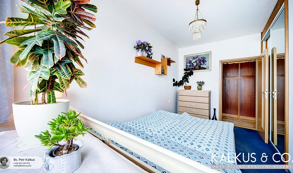 Prodej bytu 3+1 78 m², Hradec Králové – náhled fotky 15