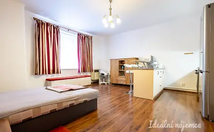 Pronájem bytu 1+kk 38 m²