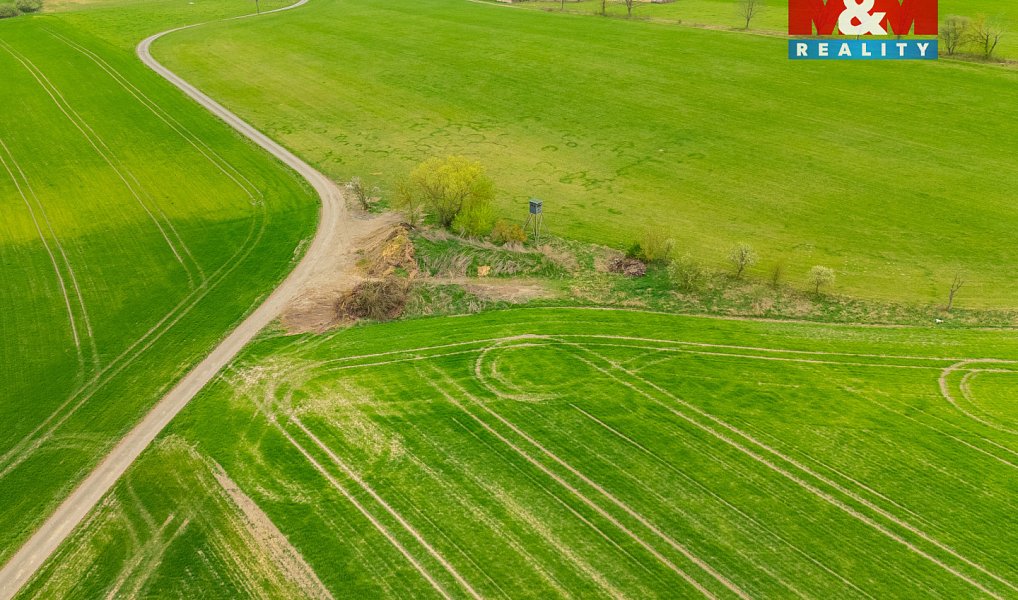 Prodej louky 730 m², Olešnice – náhled fotky 7