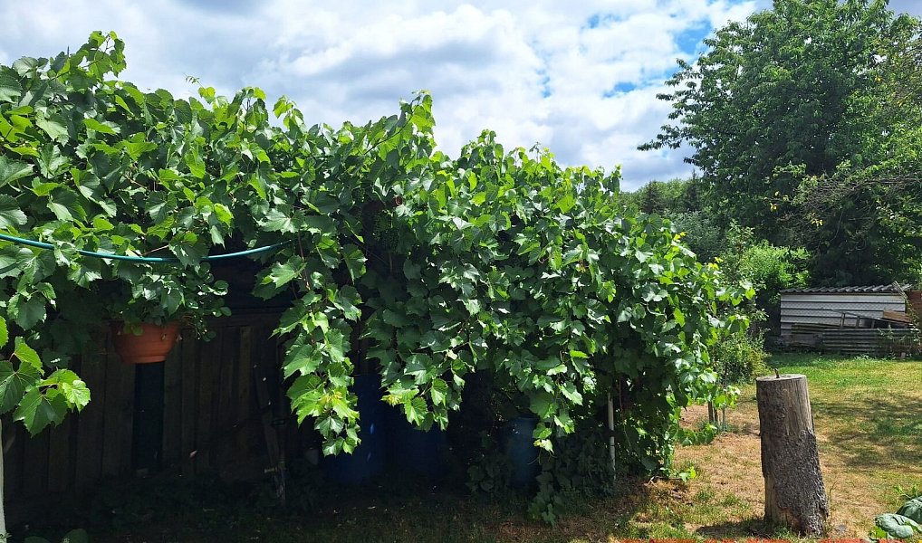 Prodej domu 98 m² s pozemkem 500 m², Sušice – náhled fotky 9