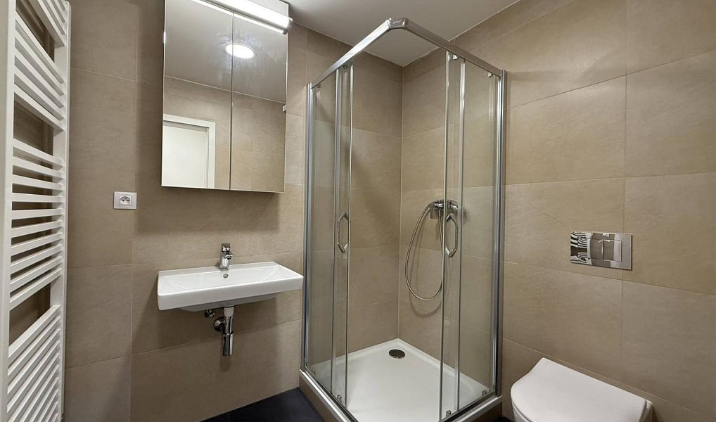 Pronájem bytu 1+kk 39 m², Praha – náhled fotky 6