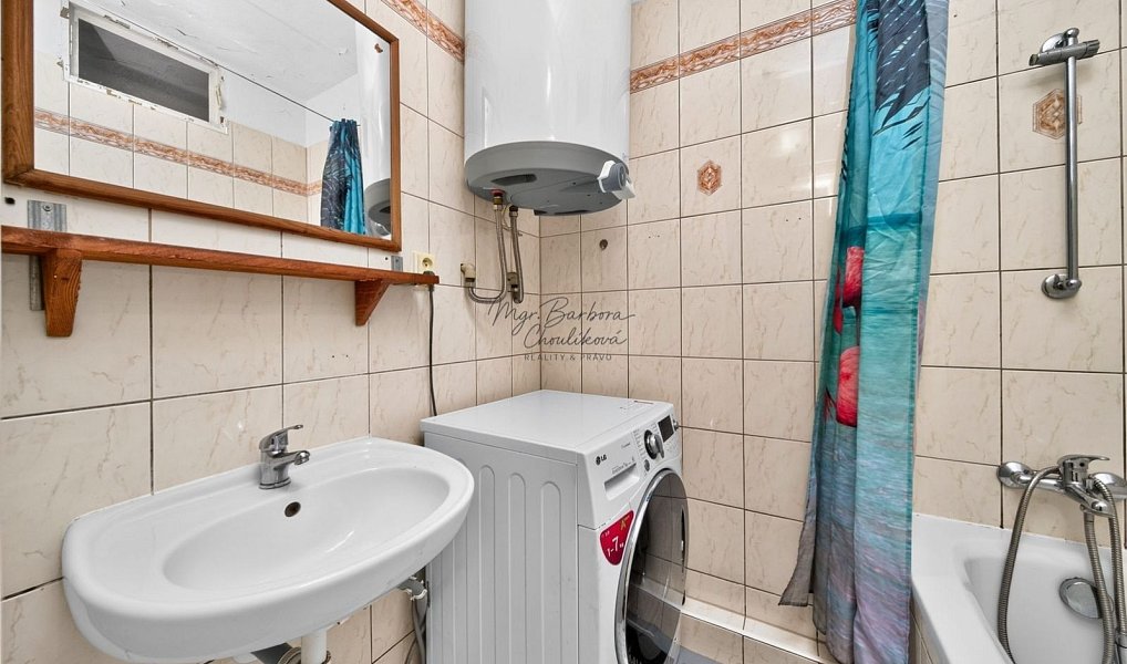 Prodej bytu 2+1 57 m², Blovice – náhled fotky 12