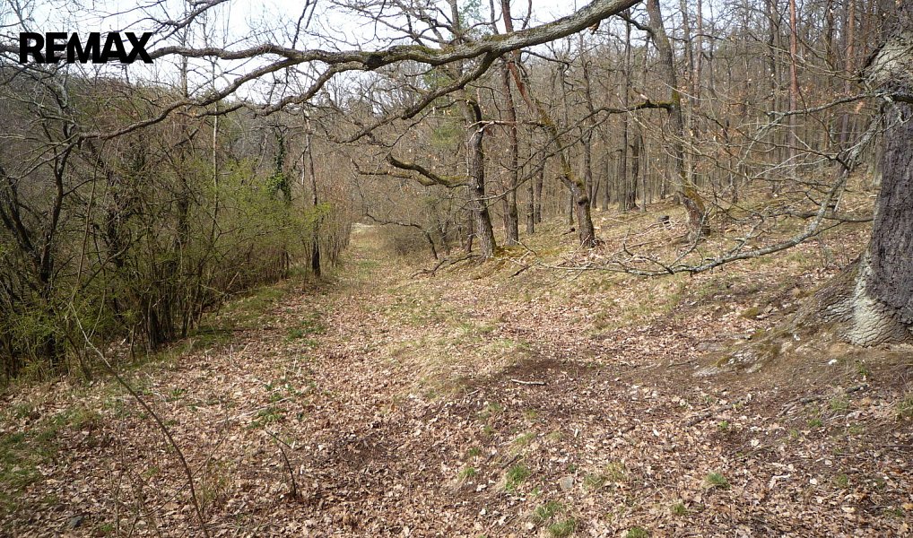 Prodej chaty/chalupy 50 m² s pozemkem 46 m², Plasy – náhled fotky 17