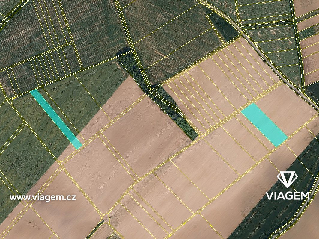Prodej pole 2 383 m² – fotografie 3