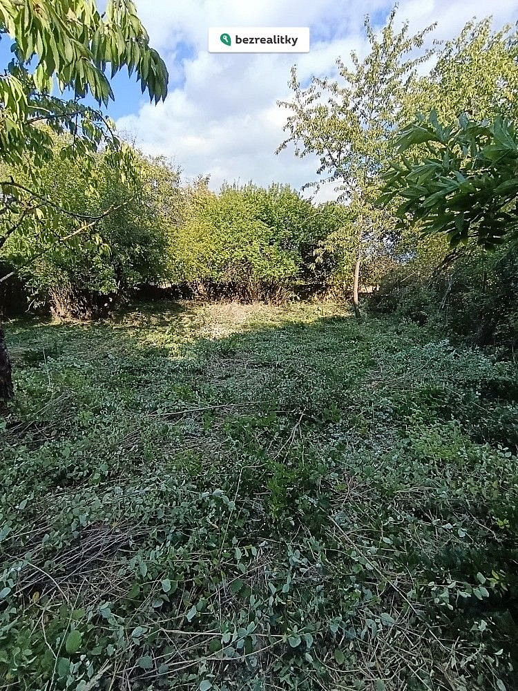Fotka 9 z 16