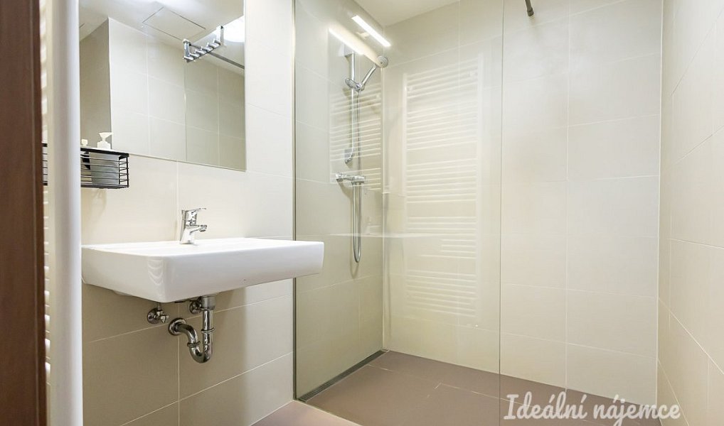 Pronájem bytu 2+kk 44 m², Praha – náhled fotky 10
