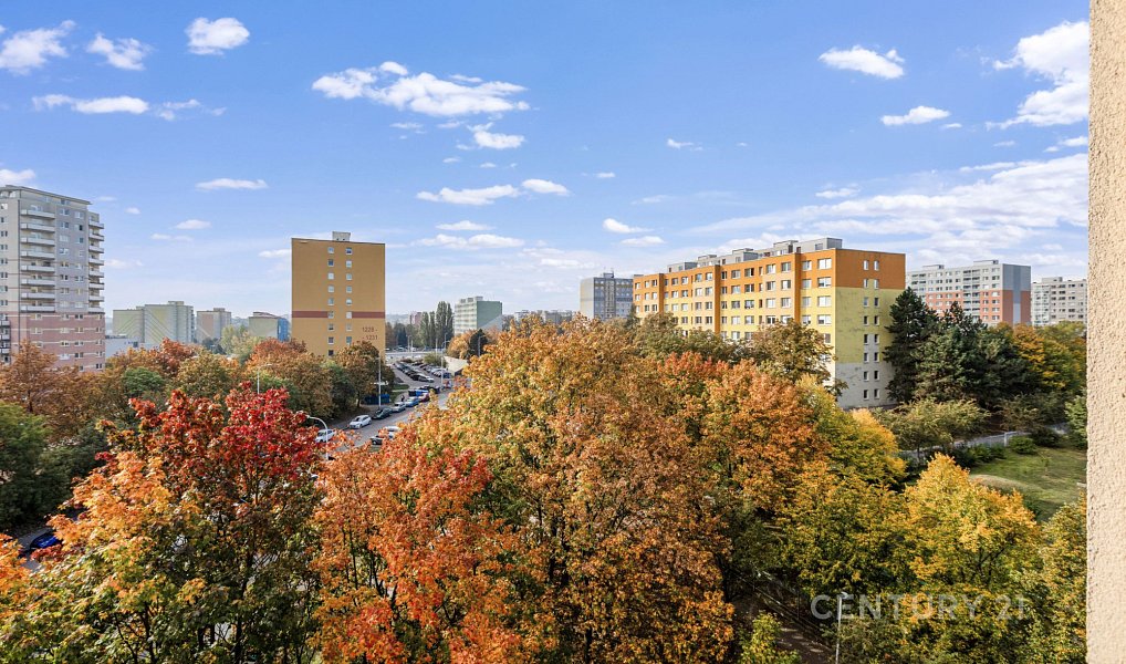 Prodej bytu 2+kk 46 m², Praha – náhled fotky 5
