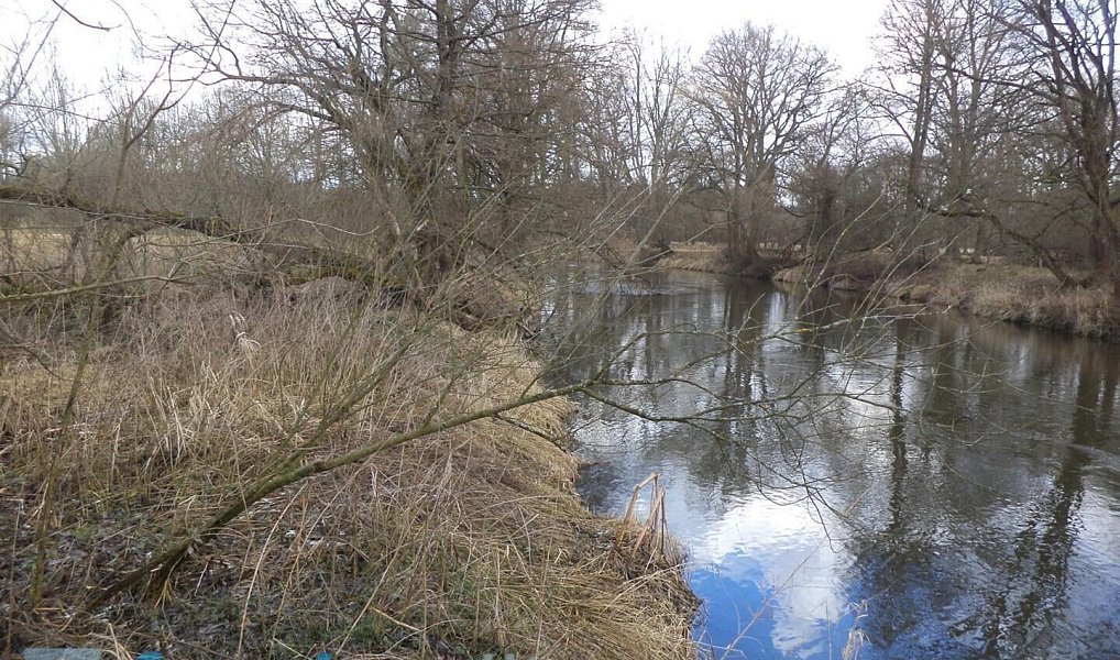 Prodej pozemku 15 643 m², Novosedly nad Nežárkou – náhled fotky 2