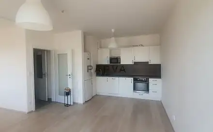 Pronájem bytu 1+kk 47 m²